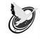 OSHO International Foundation Swan